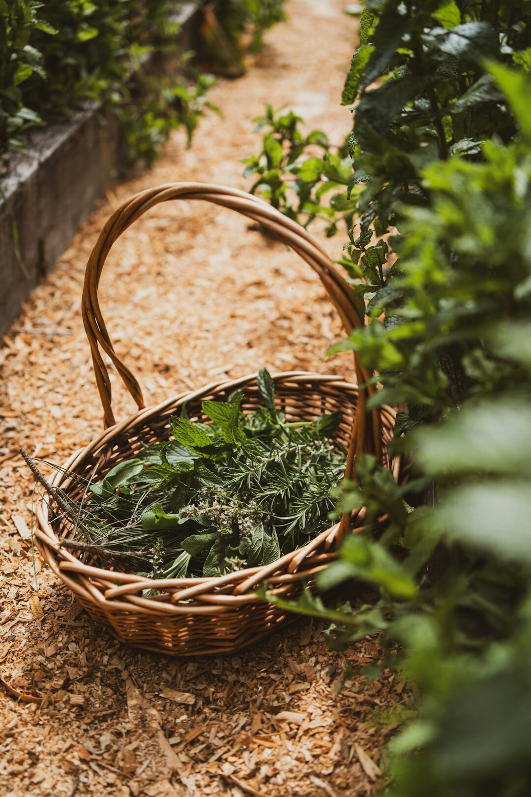 seasonal vegetables in basket