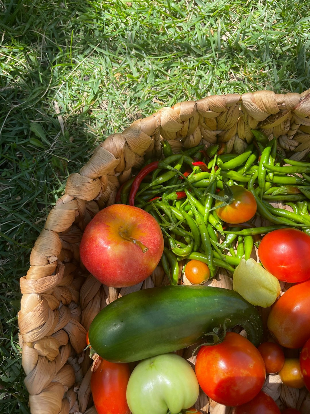 seasonal vegetables in basket
